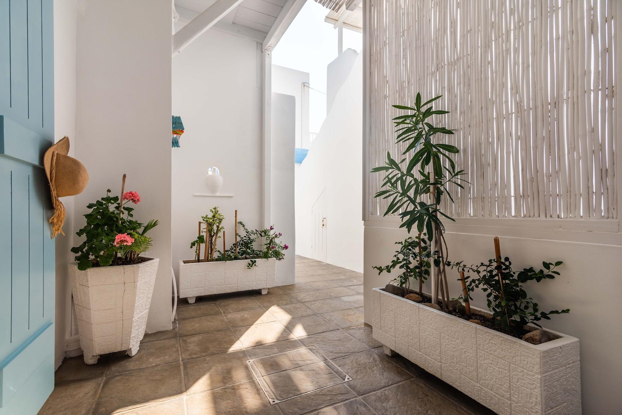 Niki Savvas Studio & Suites 阿波罗尼亚 外观 照片